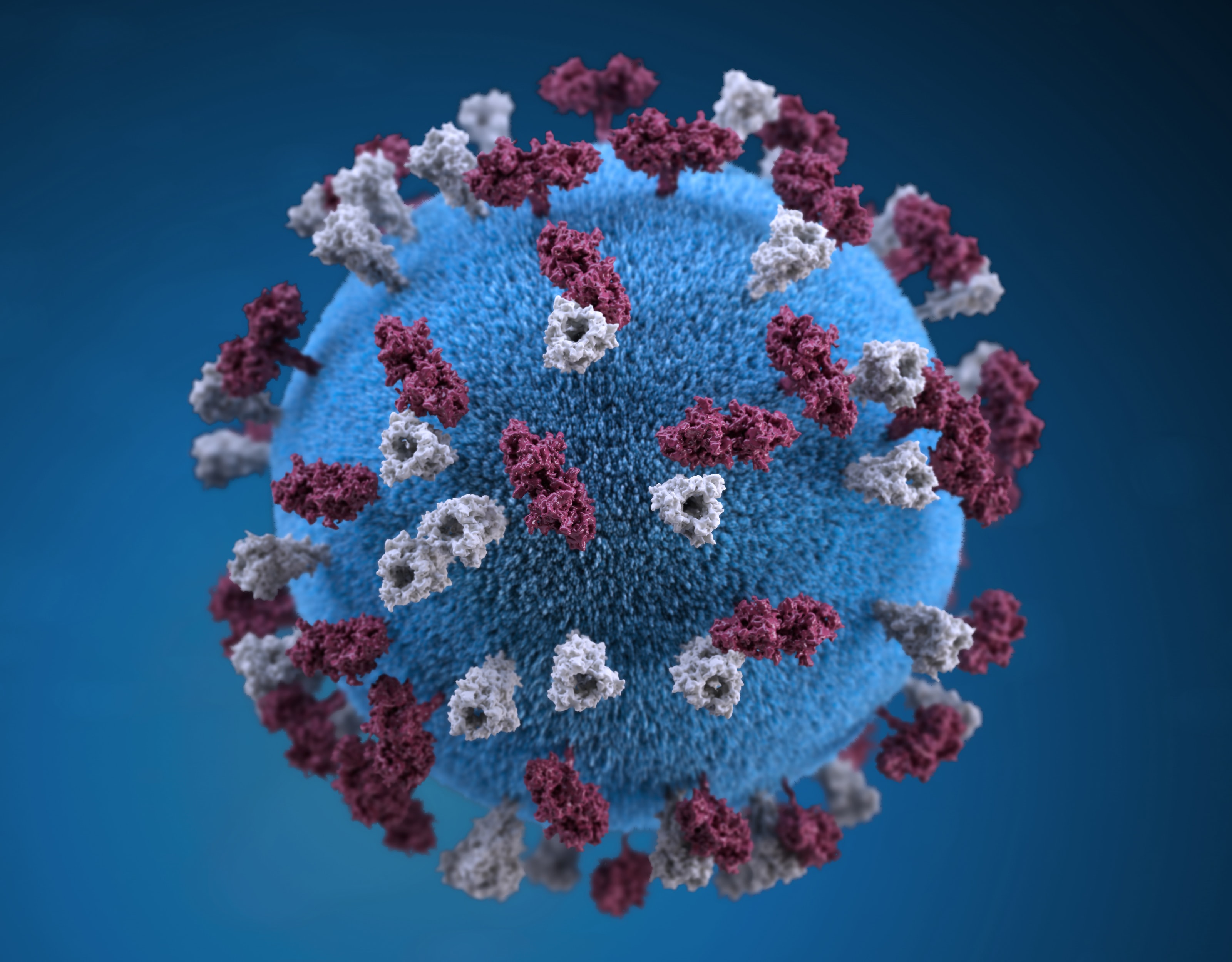 A digital rendering of the Covid-19 virus. 