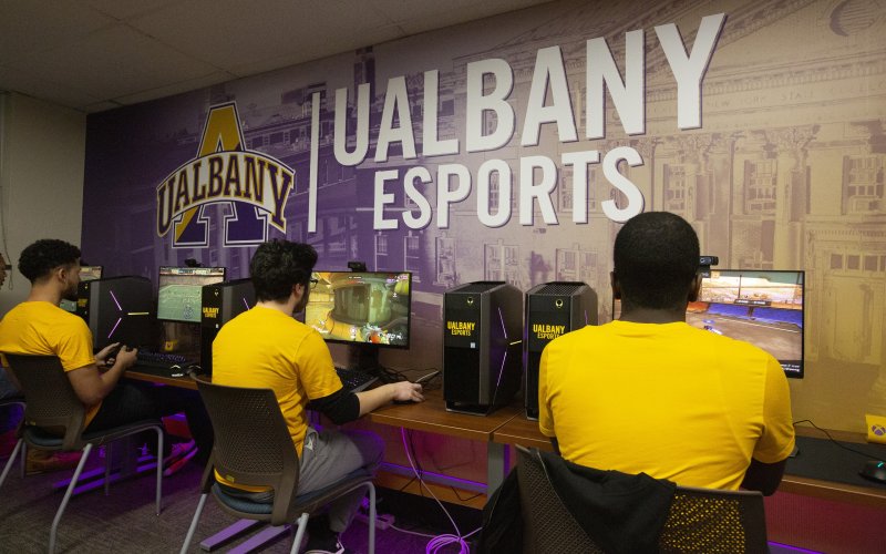 Three UAlbany eSports competitors in yellow jerseys sit with their backs to the camera gaming on desktop computers with the UAlbany eSports logo on the wall in front of them.