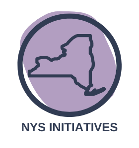NYS Initiatives