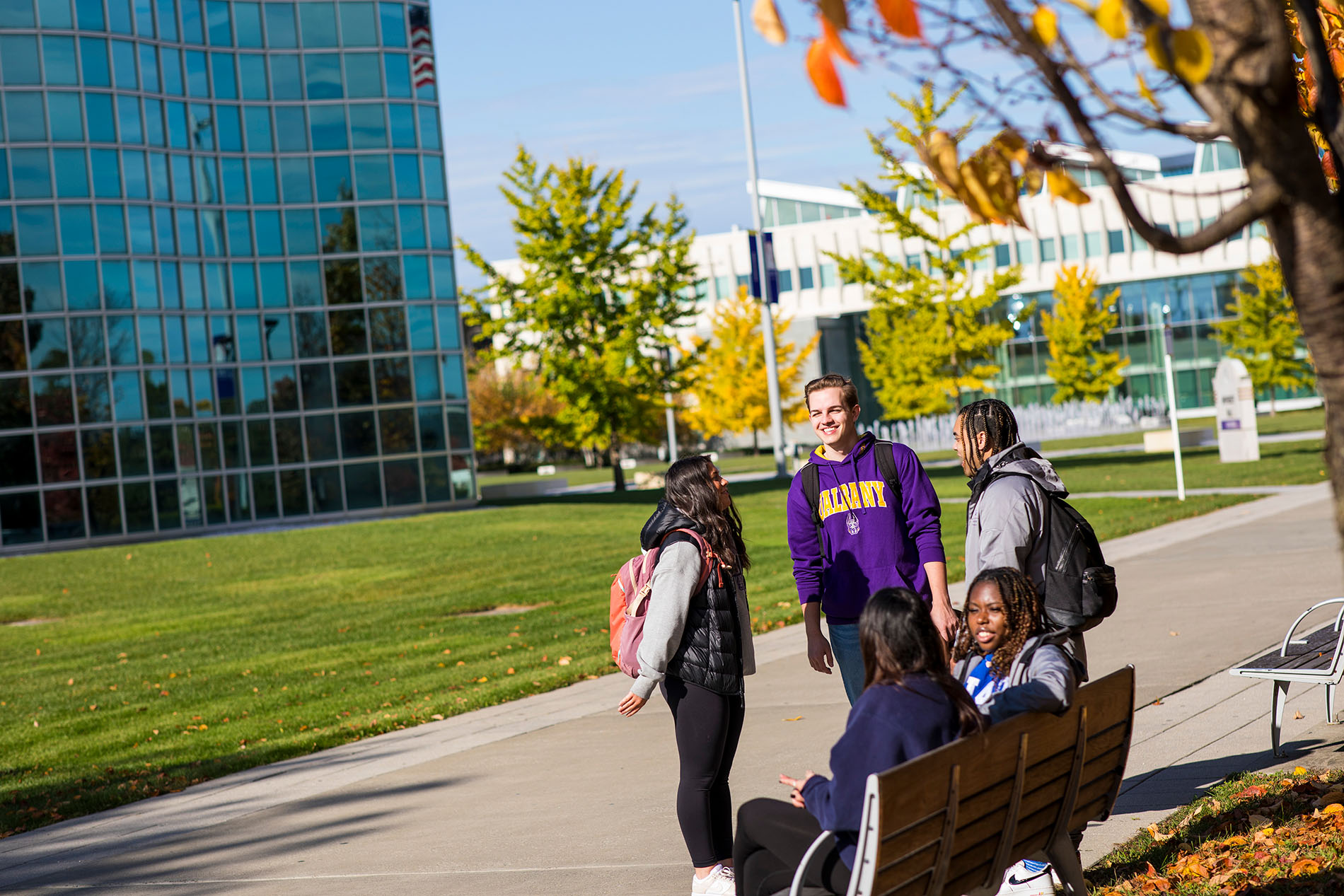 Three standing UAlbany students and two seated outdoors on campus with fall foliage on nearby trees