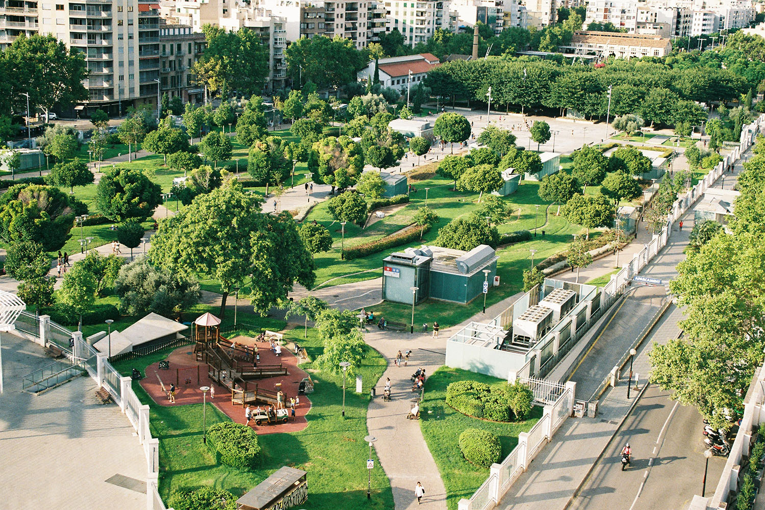 A grassy park with trees sits in between tall buildings and a road.