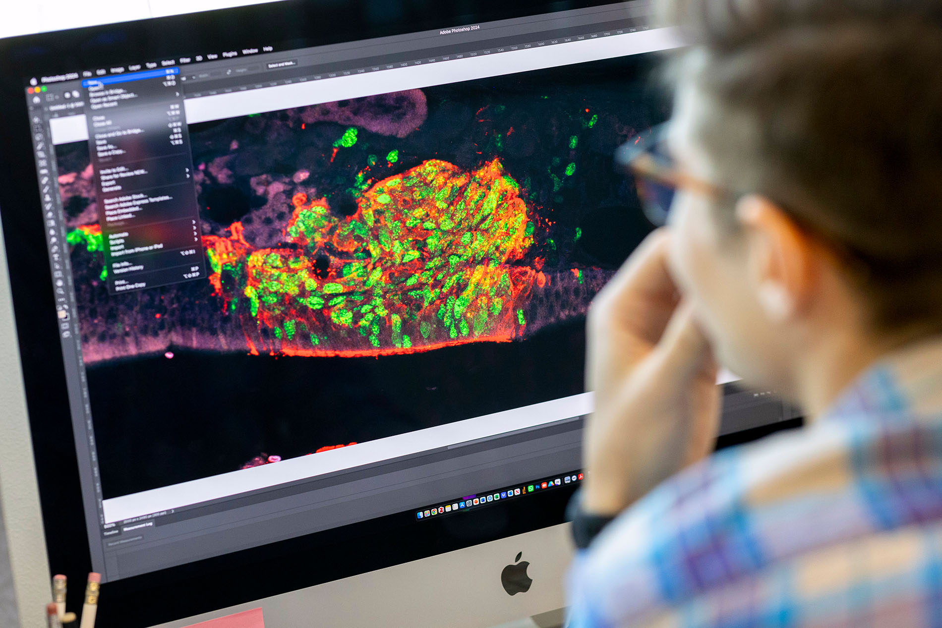 Image shows a computer screen and the back of  person's head. The screen shows colorful, amorphous shapes against a black background.