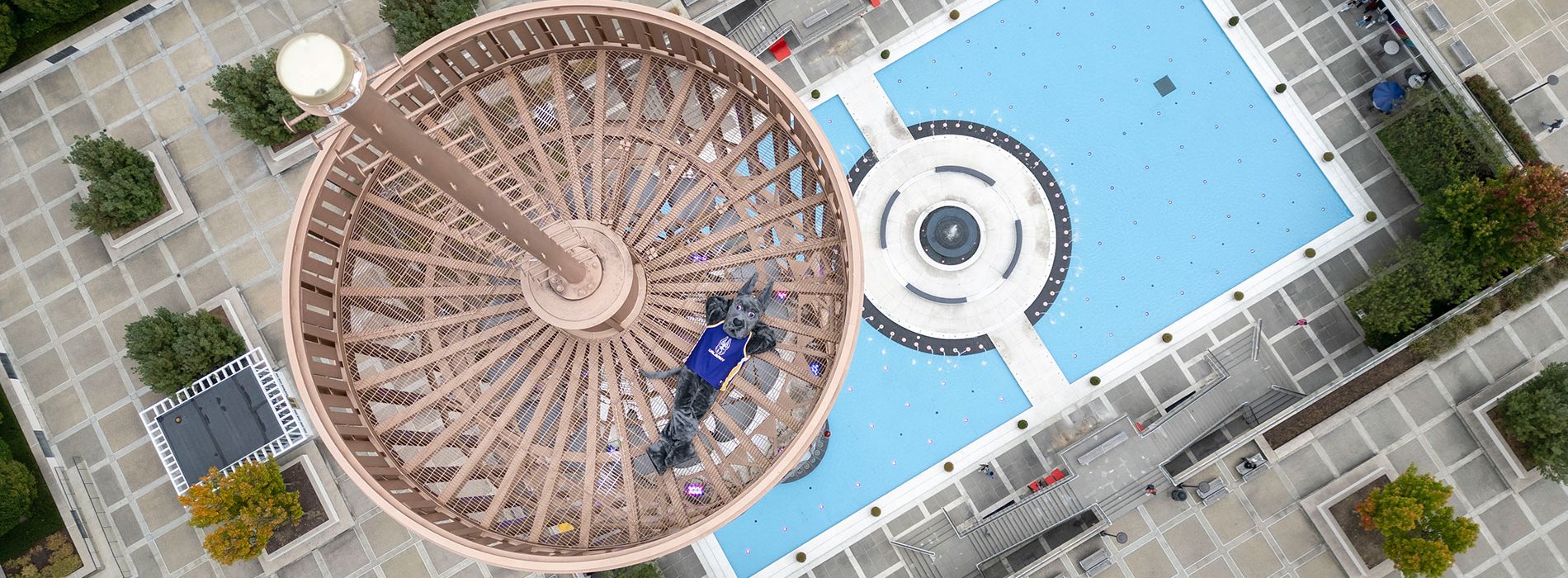 Damien laying on top of the Carillon.