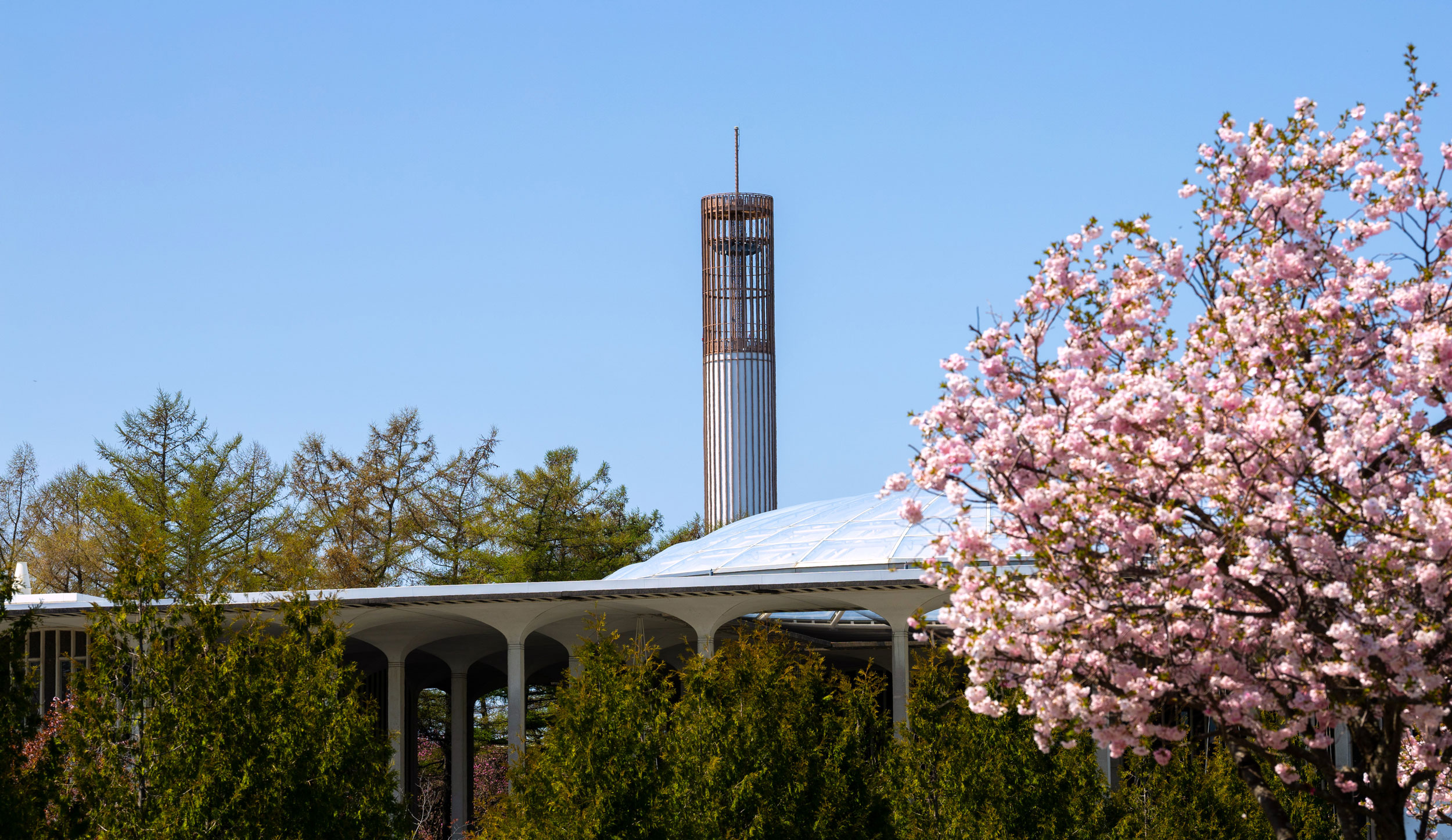 The UAlbany carillon and Podium visible through flowering and evergreen trees on a sunny spring day.