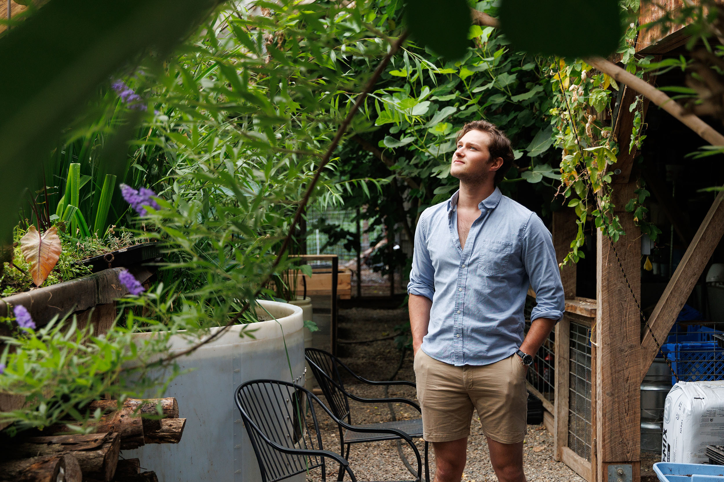A man stands inside of a greenhouse at a plant hanging from the ceiling with purple flowers