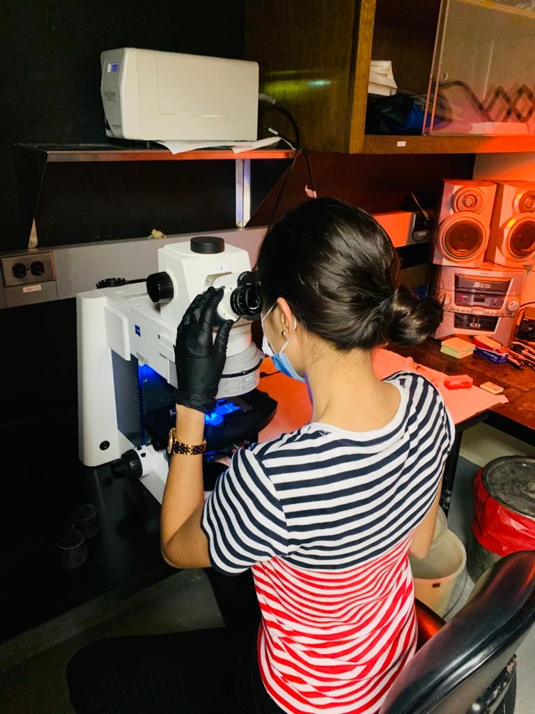 Maria Isabel looks into a microscope on a table.