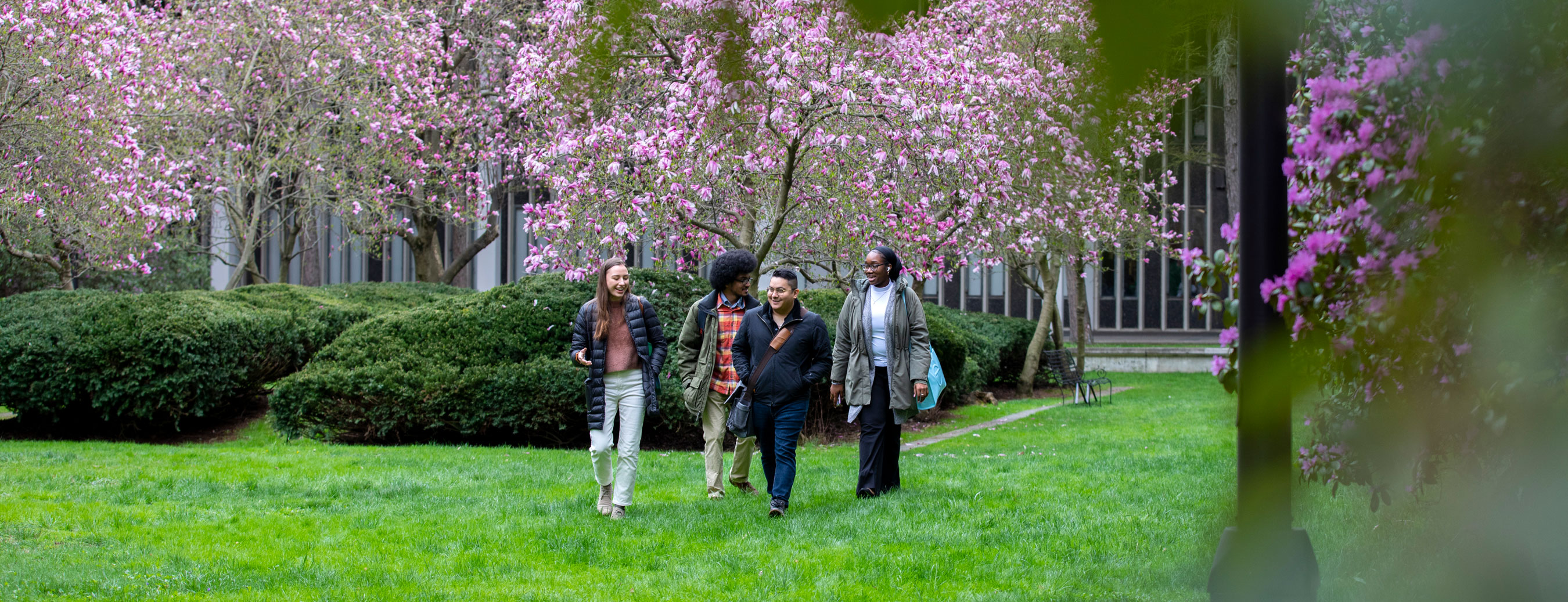 Four students smile and talk as they walk through a grassy flower garden on campus.