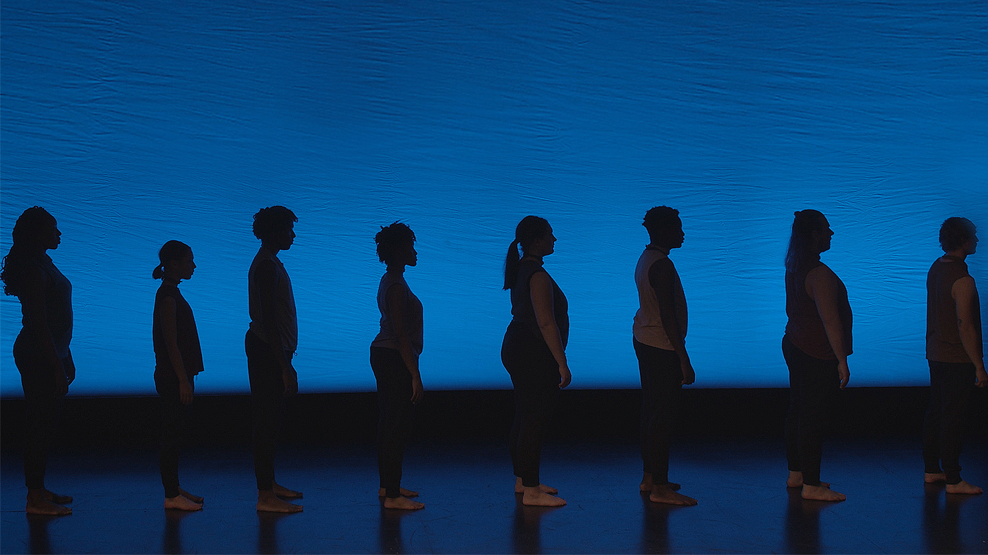 The silhouettes of eight people standing in profile on a stage can be seen against a dark blue backgroundst a 