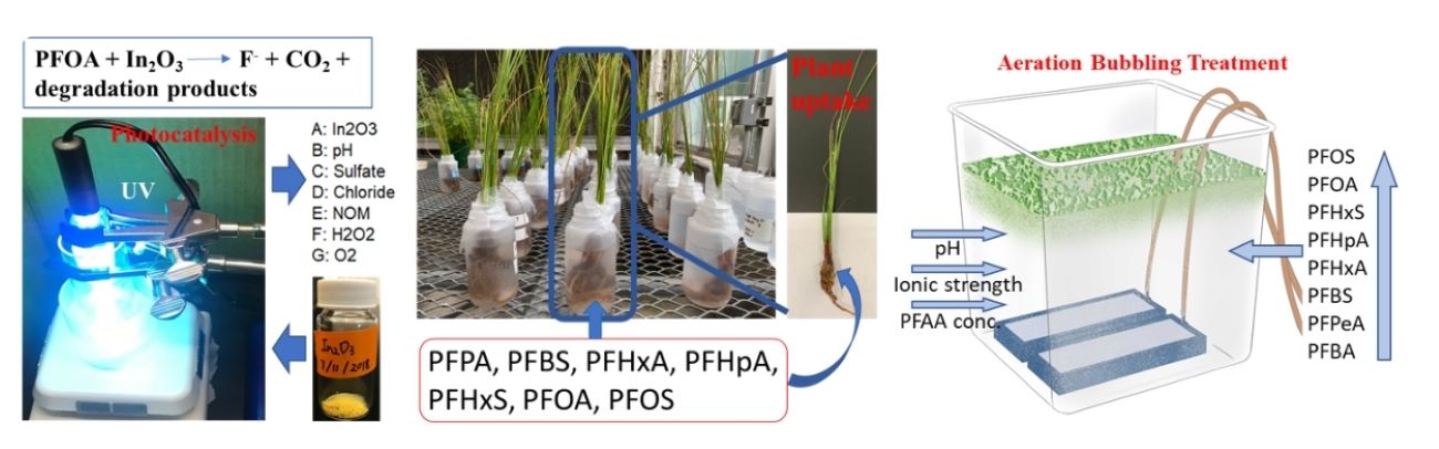 Phytoremediation, Hydrothermal liquefaction, Stabilization, Adsorption examples shown including plant uptakes and other means of remediation.