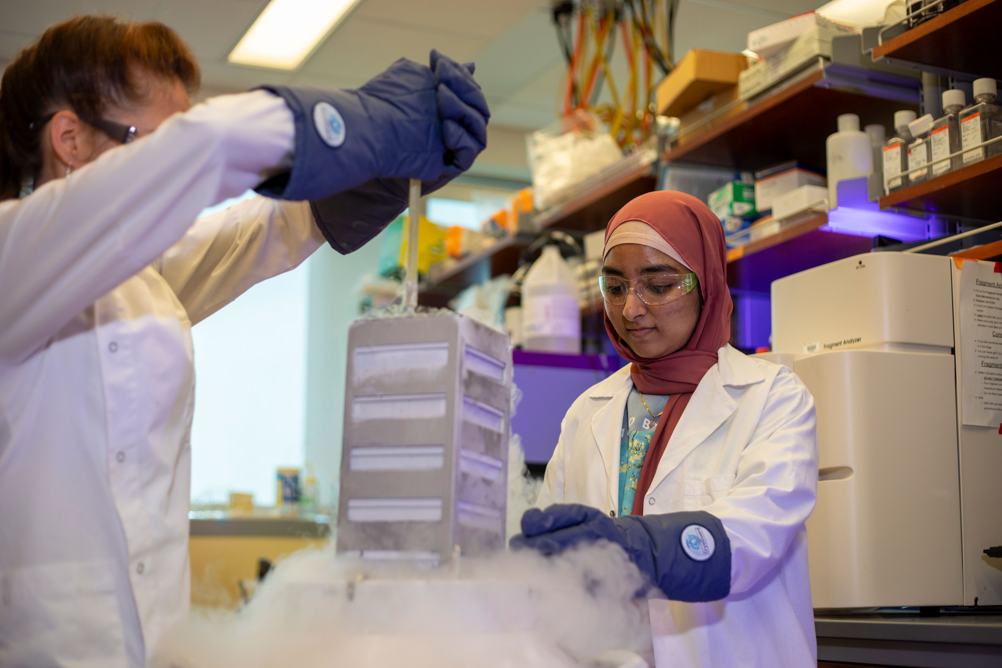 Two researchers wearing protective glasses, coats and gloves pull specimens out of liquid nitrogen storage.