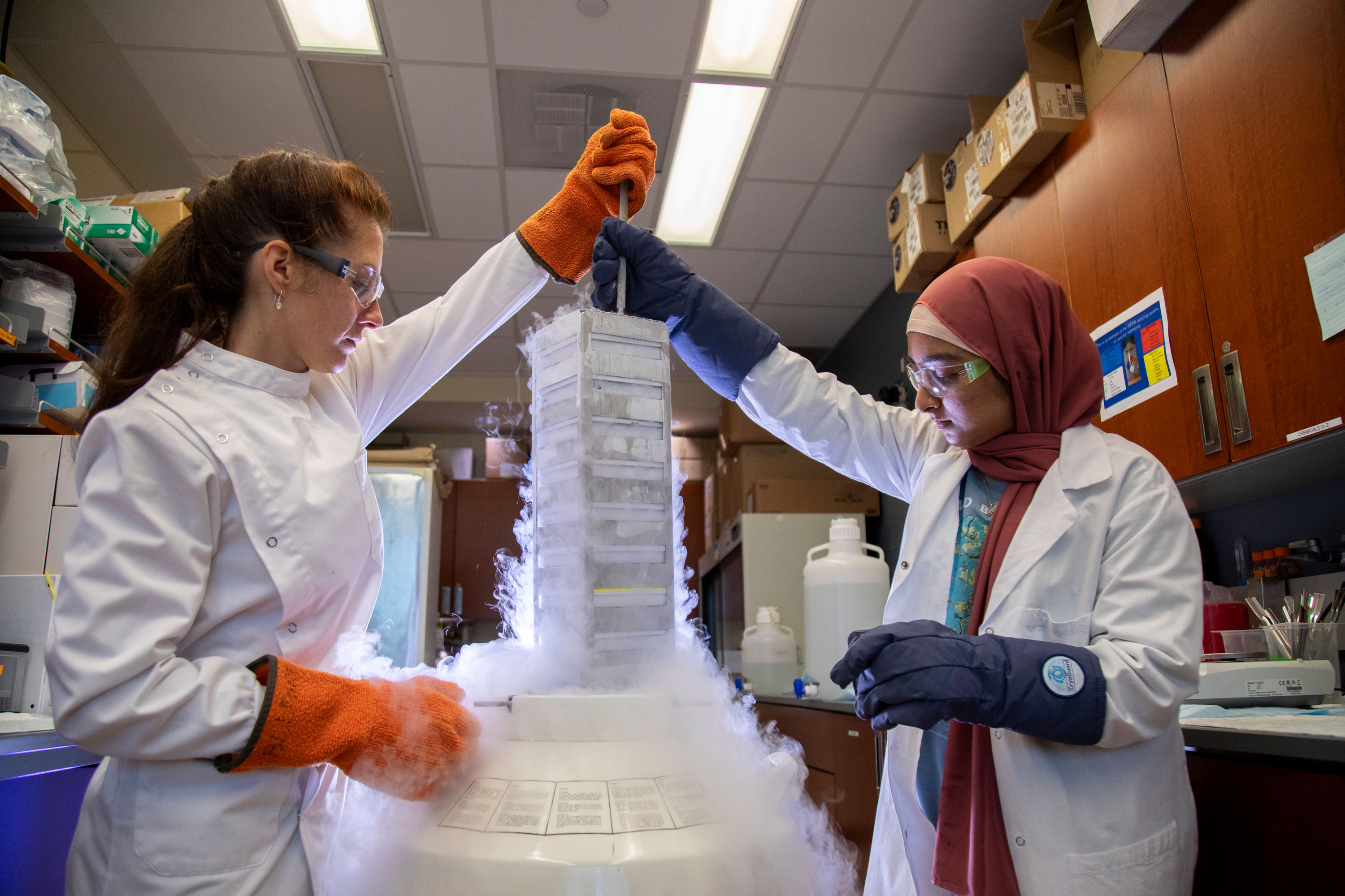 Two researchers wearing protective lab coats, glasses and gloves pull research specimens out of a deep freezer as condensed water vapor pours out.