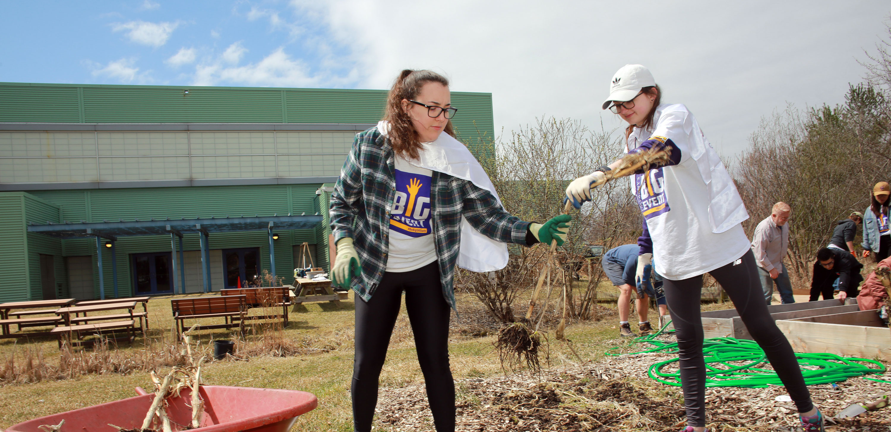 Two students wearing The Big Event t-shirts and gardening gloves work outside clearing a public garden of dead weeds.