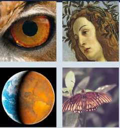 Center for Humanities, Arts and Technoscience, clockwise from left: Closeup of an animal's eye, drawing of a woman with long hair and green leaves around her head, butterfly on a plant, planet - half orange half blue.
