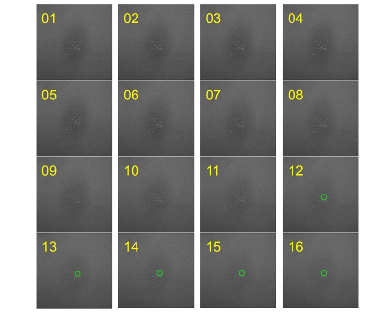 An image of 16 numbered grids depicting different gray and black tones.