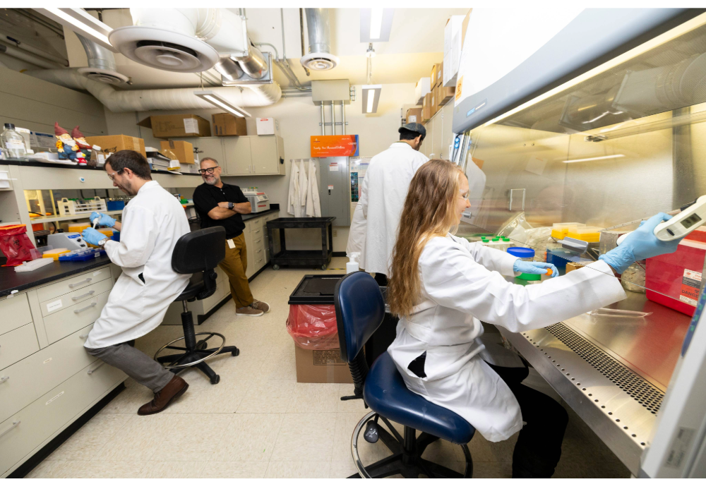 A woman with long blond hair wearing a white lab coat and protective glasses works with pipettes under a glass lab hood. Three other people are at work and conversing behind her.