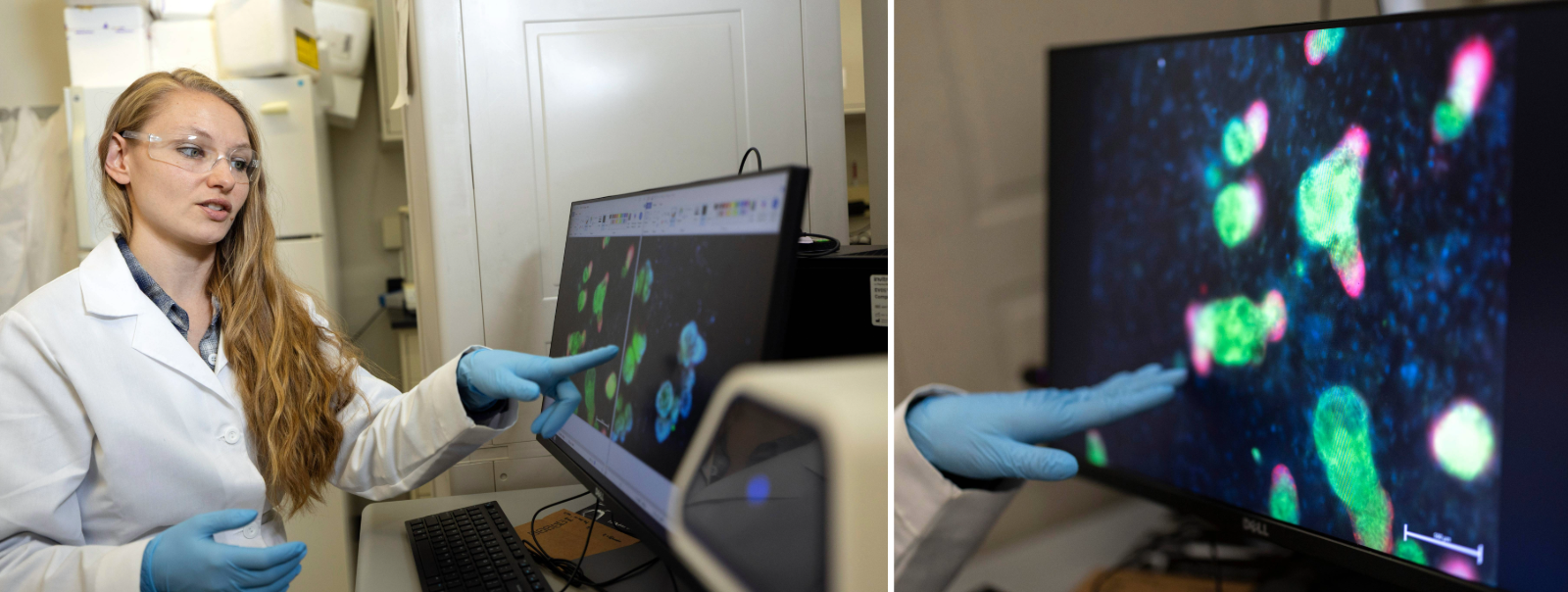 Composite image. At left, a woman with long blond hair wearing a white lab coat, clear protective glasses and blue latex gloves points to a computer screen showing two side by side images depicting blue and green spherical clusters against a black background. The right image zooms in on the screen showing green clusters. 
