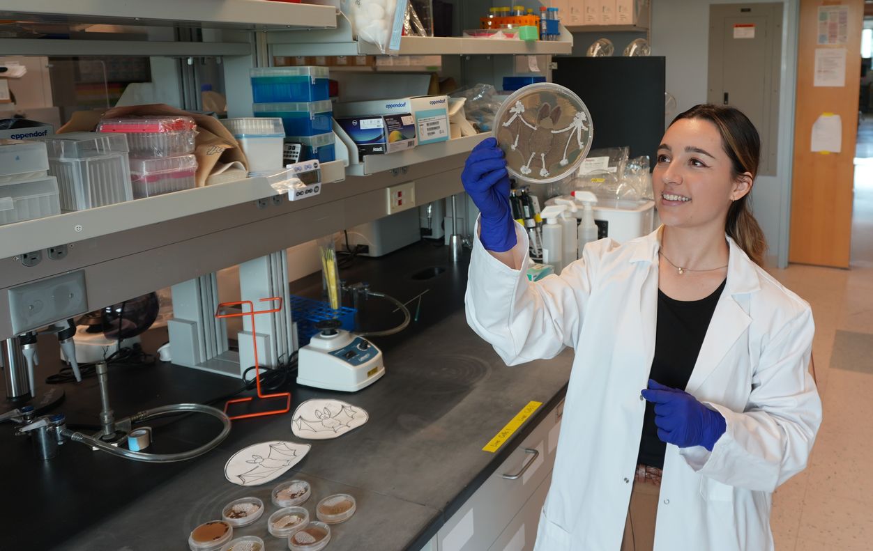 A young woman with brown-blond ombre hair, wearing a white lab coat and purple gloves holds up a large petri dish displaying a “painting” of a bat produced using different strains of streptomyces bacteria. She is standing next to a lab bench strewn with lab supplies and additional petri dishes containing bacteria. 