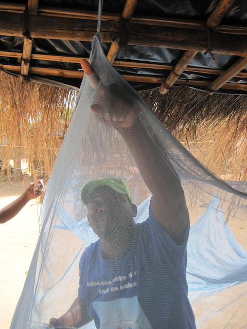 Evaluating Mosquito Nets to Prevent Malaria