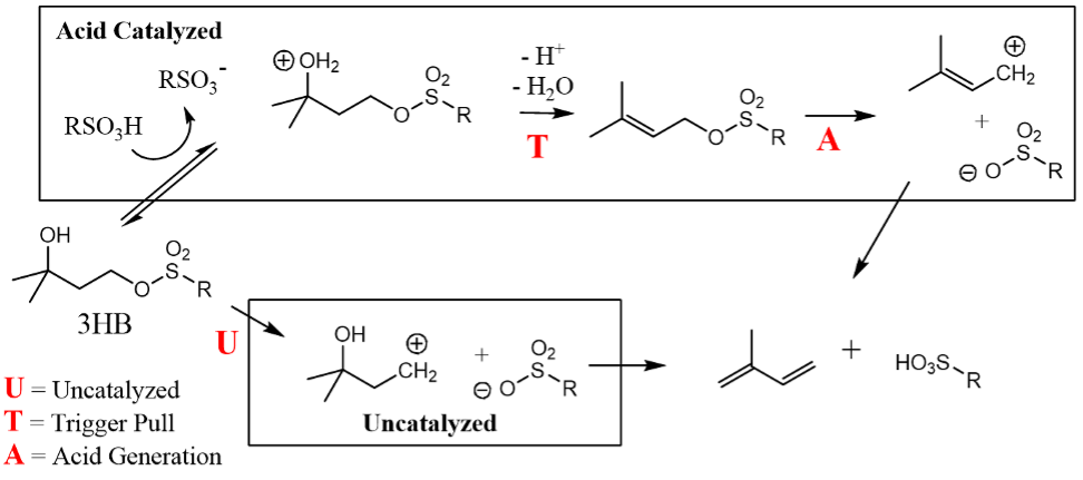 Figure 2. Proposed mechanism for catalyzed and uncatalyzed AA-3HB; R represents p-C6H4CF3.  