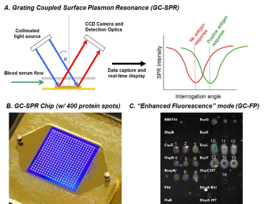 The principle of grating-coupled surface plasmon resonance (GC-SPR) for biosensing. B) An example of a GC-SPR chip is shown, with a 20x20 array of proteins (400 total). C) The image shown is of a GC-SPR chip exposed to blood serum from a mouse infected with Lyme disease. White spots show a positive detection of antibodies against Lyme disease in a mouse.