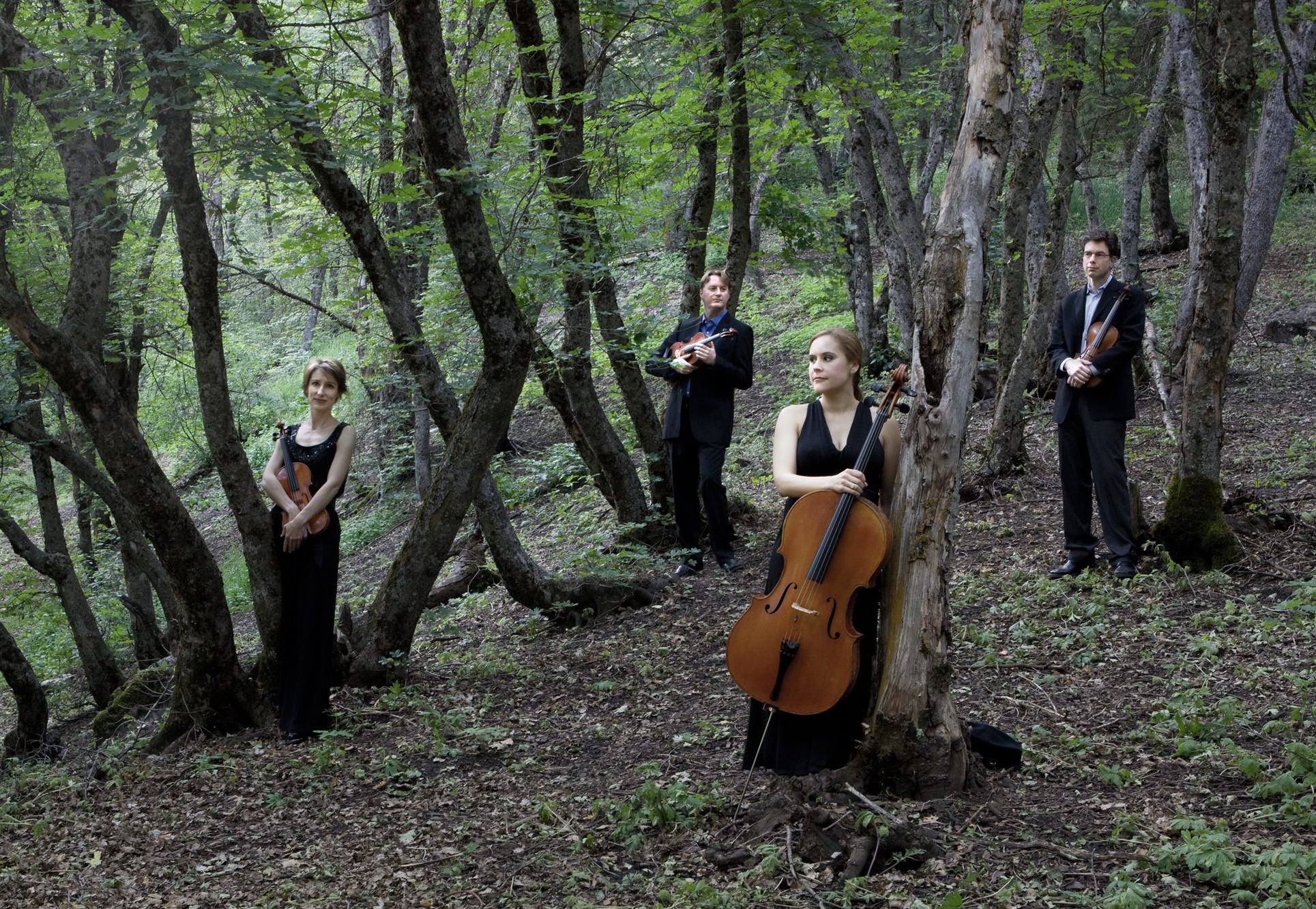 four musicians stand with their instruments among the tress in a forest