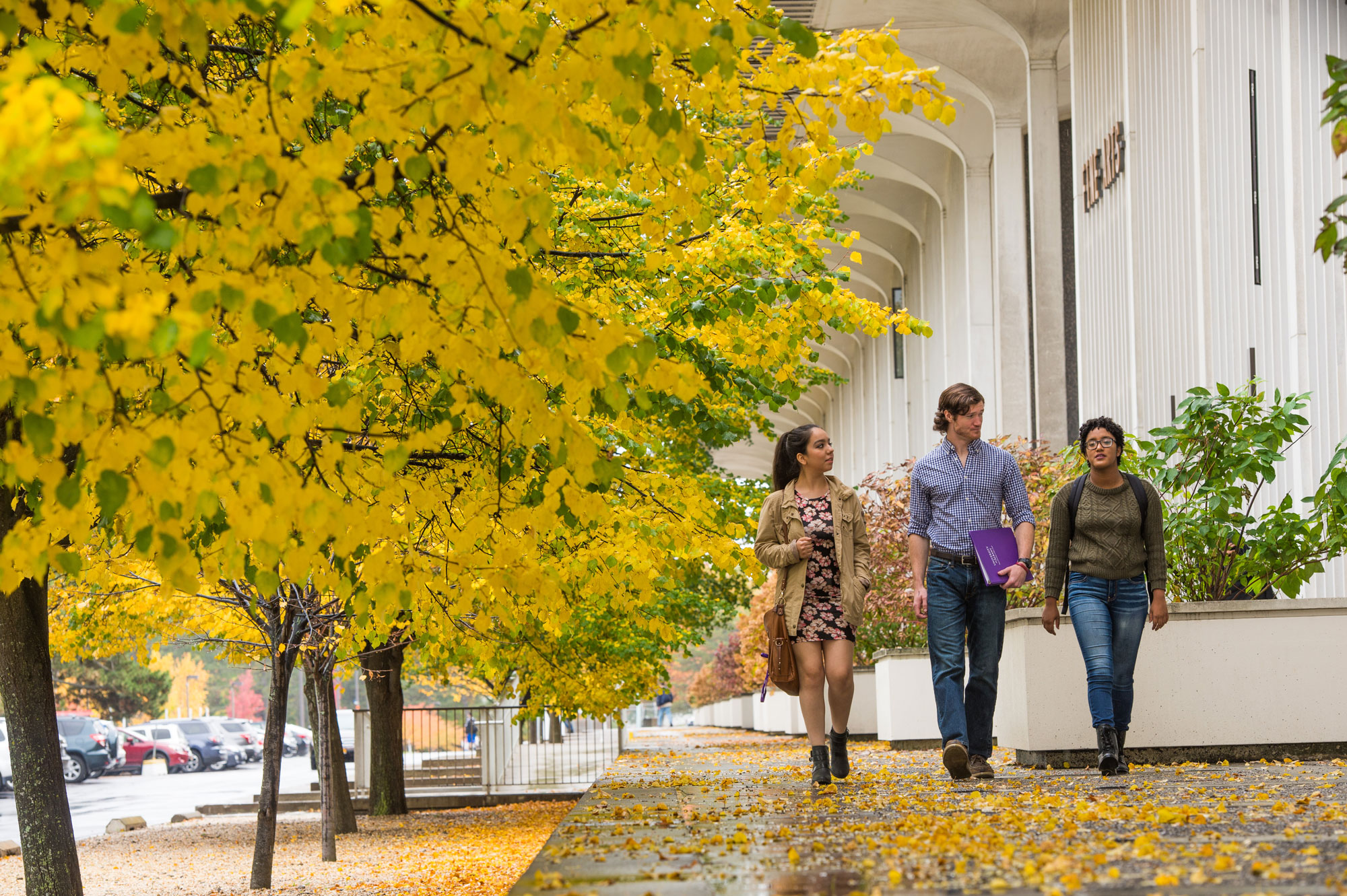 Three students walk through campus, surrounded by fall foliage.