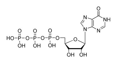 Diagram of inosine triphosphate.