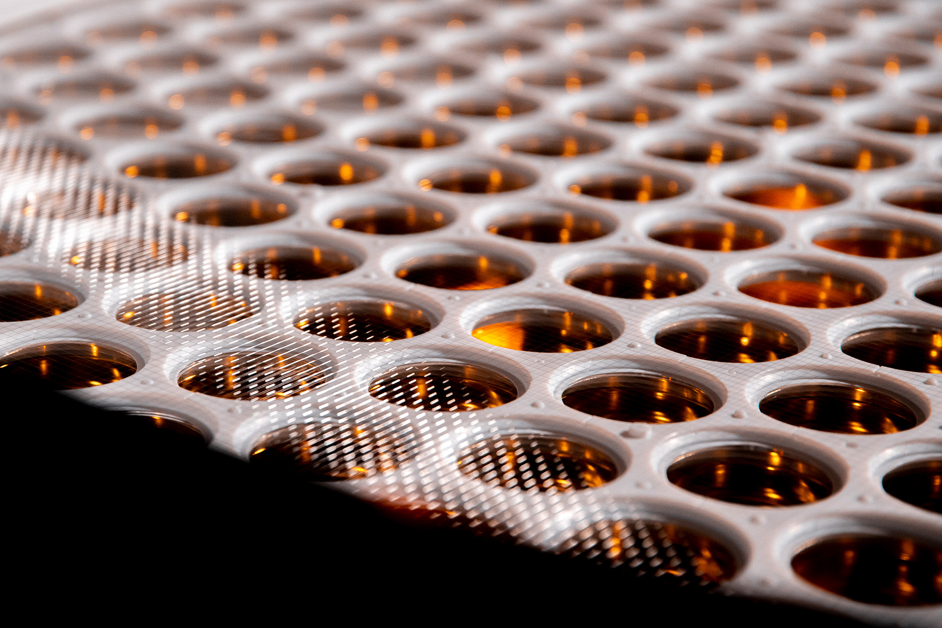 A close-up of a scientific instrument that resembles a honeycomb, with many amber-colored circles in a white matrix.