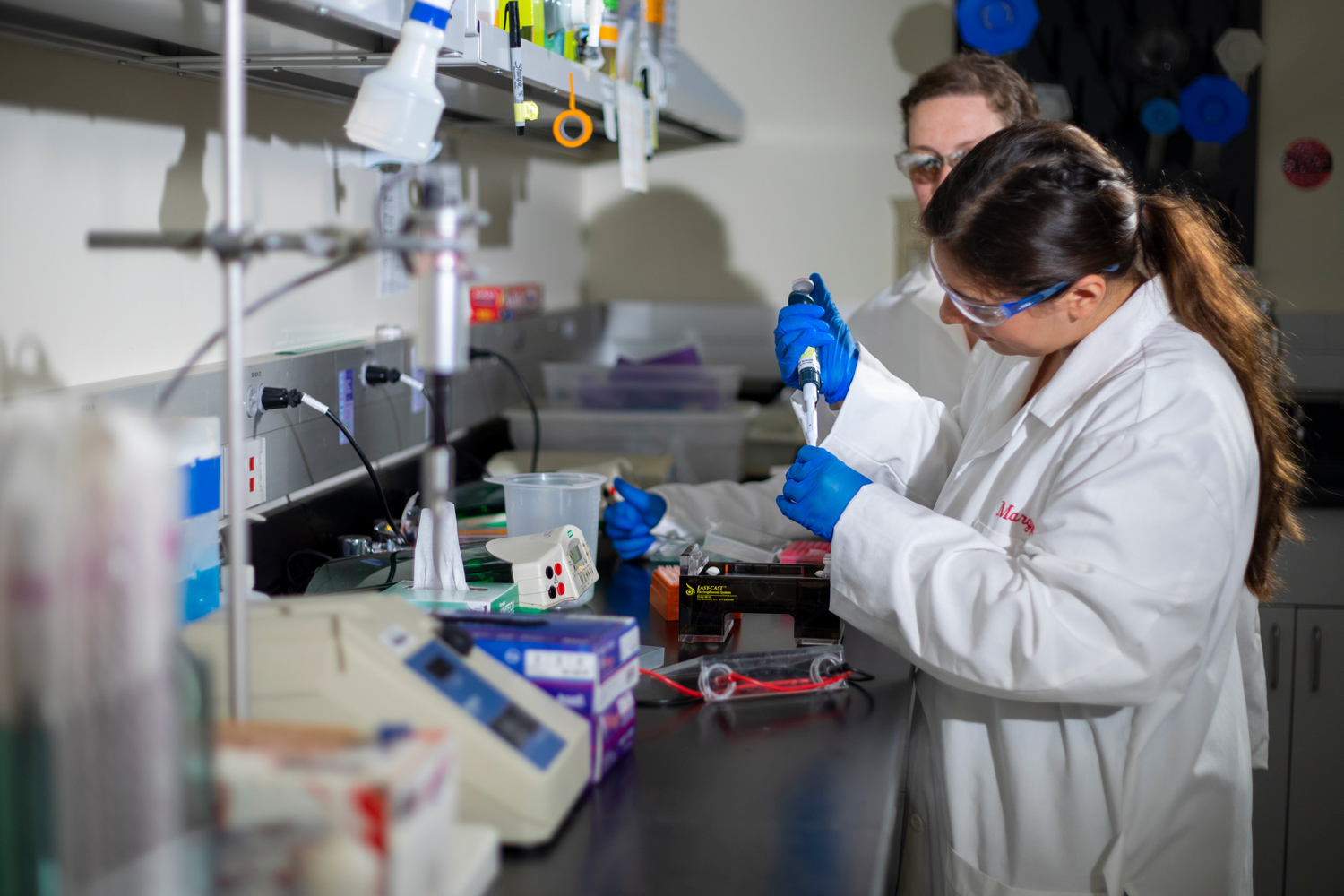 Researchers working in a UAlbany biology lab.