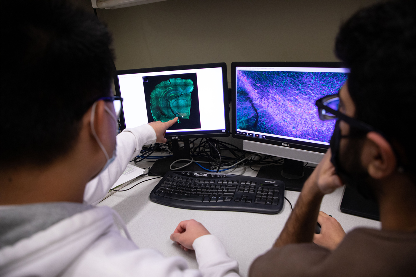 Two students look at a pair of monitors. The student on the left is pointing at the left monitor, which is showing a teal and black display of neuroscience research.