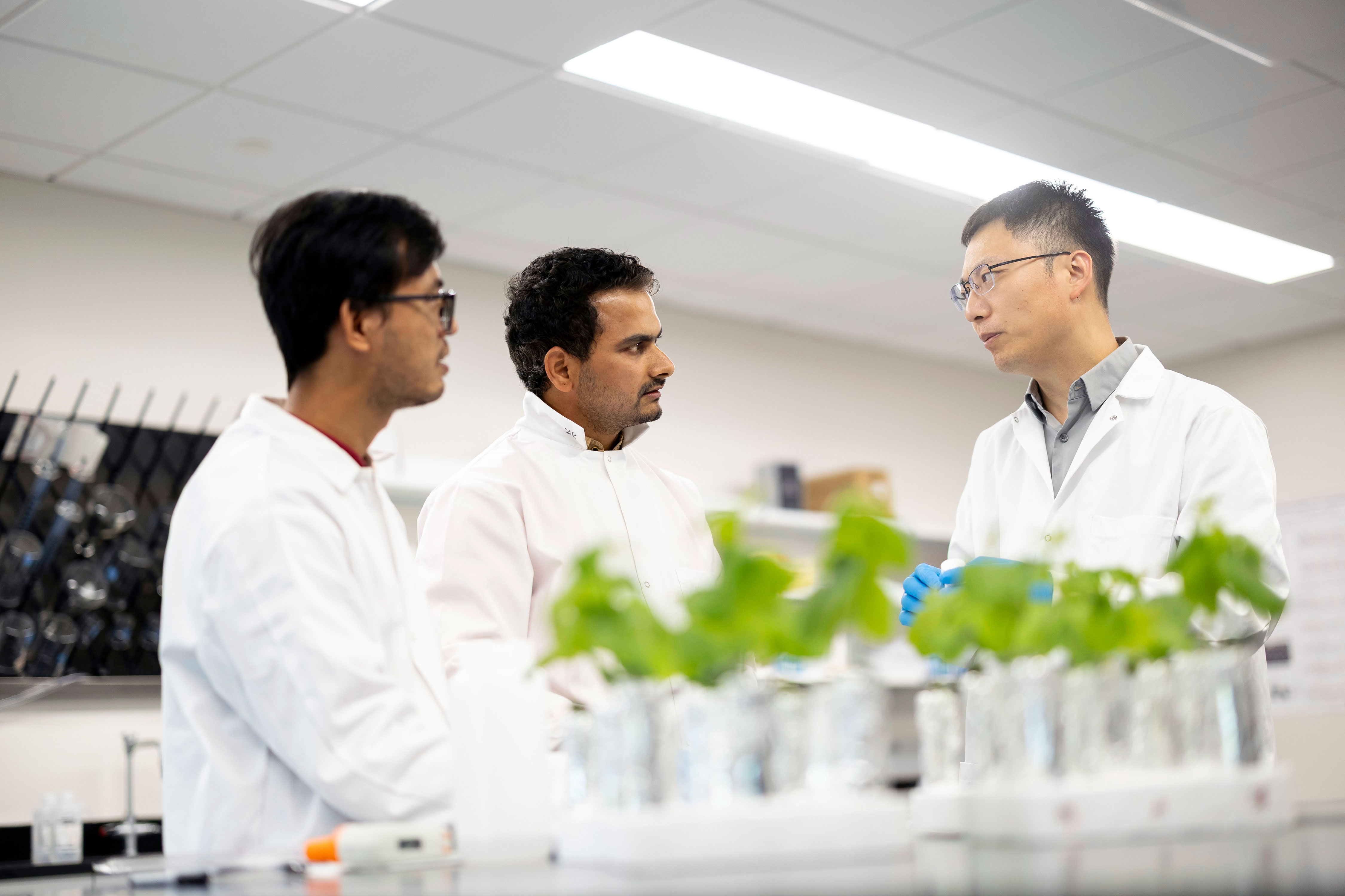 Three researchers wearing white lab coats converse while standing beside a lab bench with green plants on top of it.