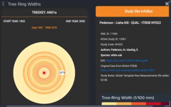 Graphic of a visual tool created by PIRE researchers that displays historical tree ring data.