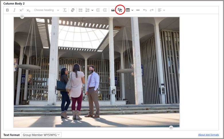A screenshot of a Drupal editing view, with a photo placed inside a content area. The new image icon is circled in red.