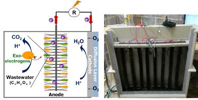 Figure 2. A microbial fuel cell for electricity production (left), and a 85 L-scale MFC (right, adopted from Rossi et al., 2019 [3]). 