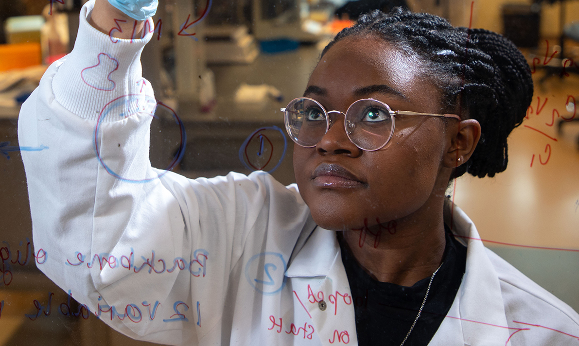 RNA Institute and CURCE student Che'-Doni Platt writes with markers on a transparent board in front of her.