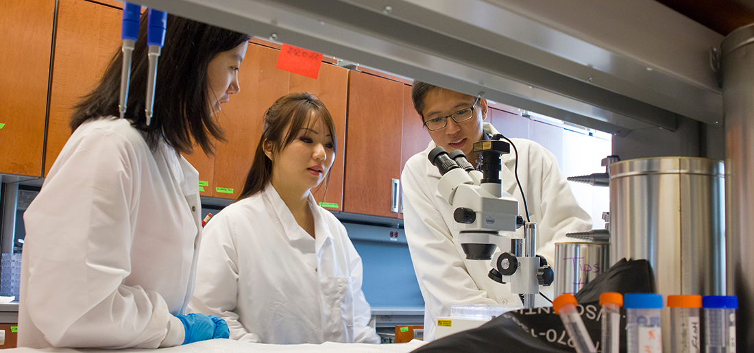 Doris Chen and Jowa Shi, undergraduates, Jia Sheng, Assistant Professor of Chemistry, Sheng Lab, The RNA Institute (Photo by Paul Miller)