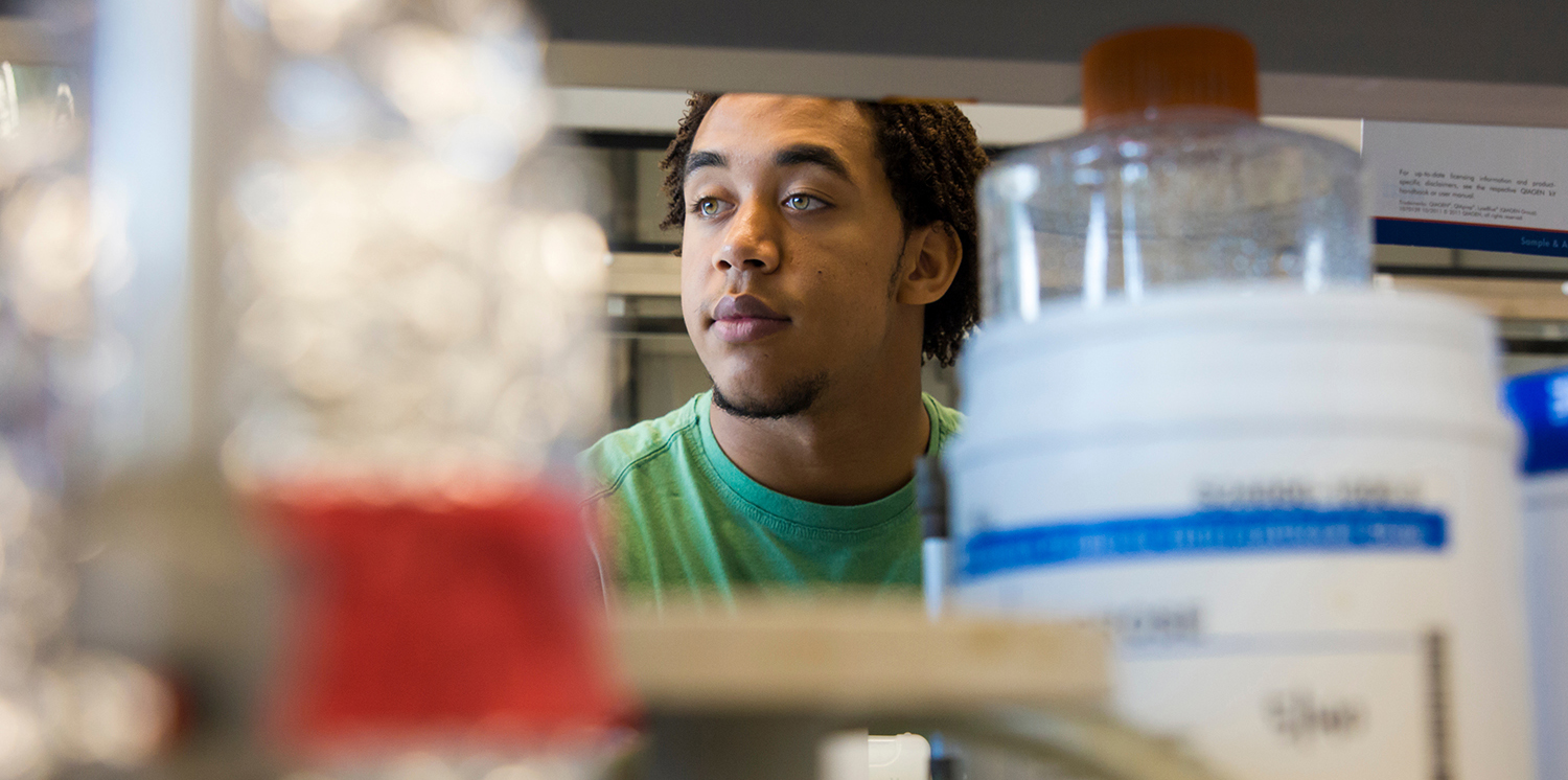 RNA intern David Bunn, undergraduate, Belfort Lab (photo by Paul Miller)