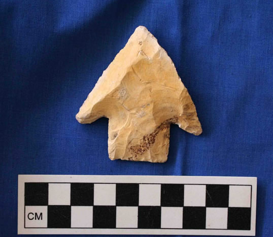 Late Archaic Lowe Point from 3 kilometers north of the San Estevan village, near the New River.