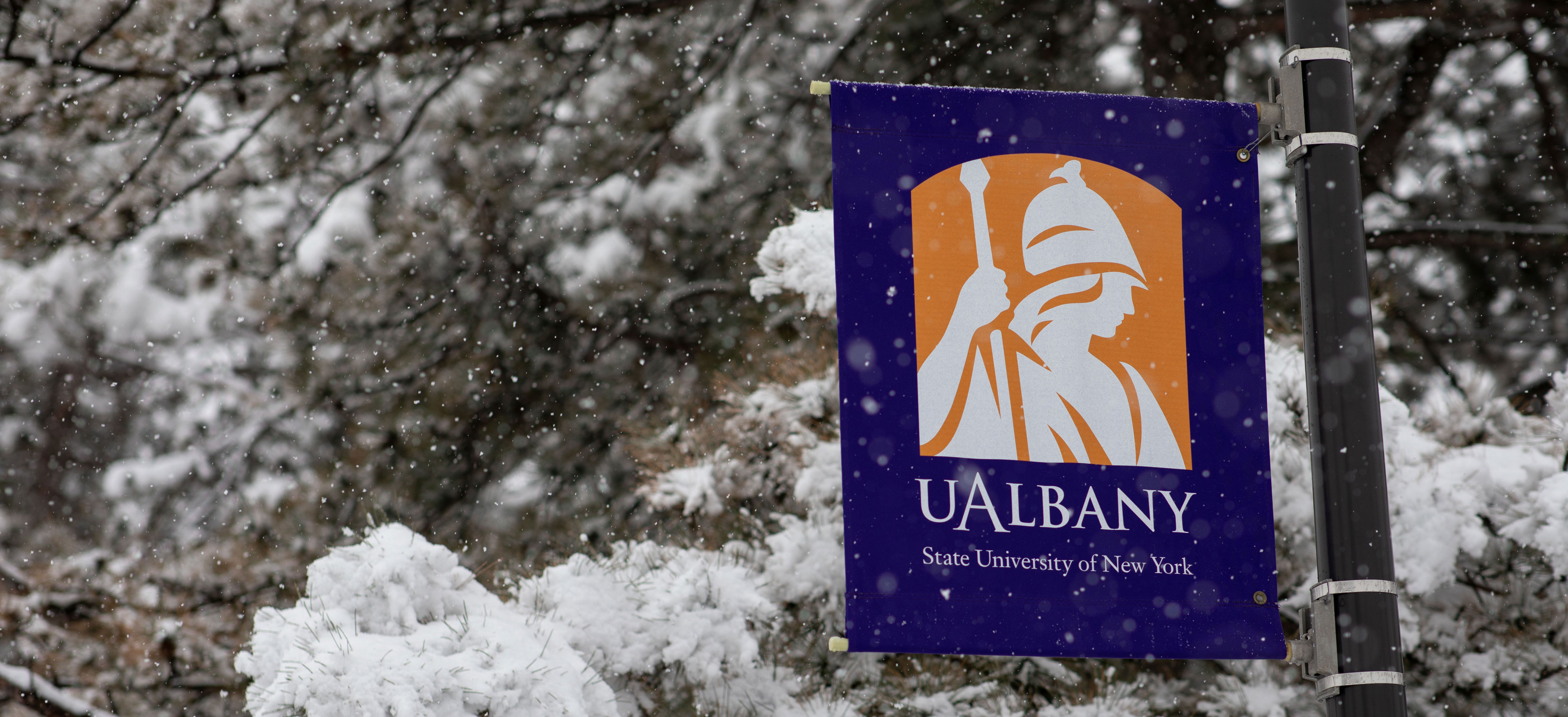 Purple and yellow UAlbany, SUNY, banner against a backdrop of snowy trees.