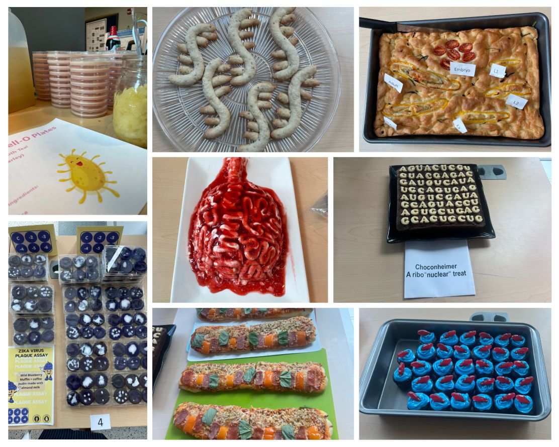Image depicts a collage of bakeoff entries including Jell-O served in petri dishes, cookies shaped like RNA, a cake modeled after a brain, zebra fish cupcakes, a nematode lifecycle illustrated in foccacia bread, and a brownie with cookie nucleobases. 