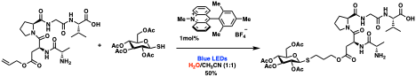 A depiction of radical functionalization of thioglycosides in an aqueous medium.
