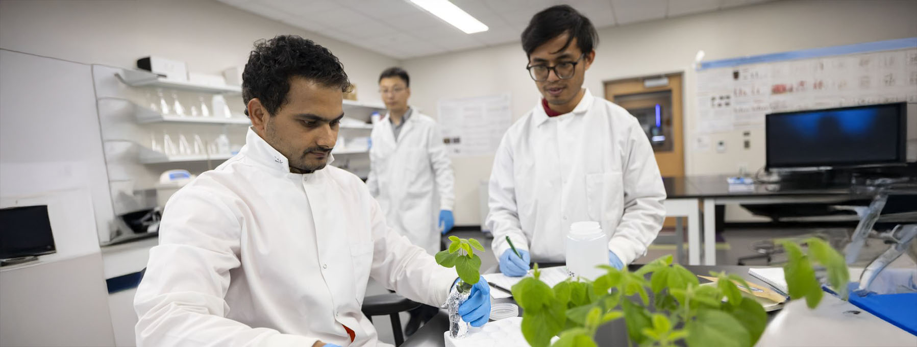 Weilan Zhang team working in the lab.