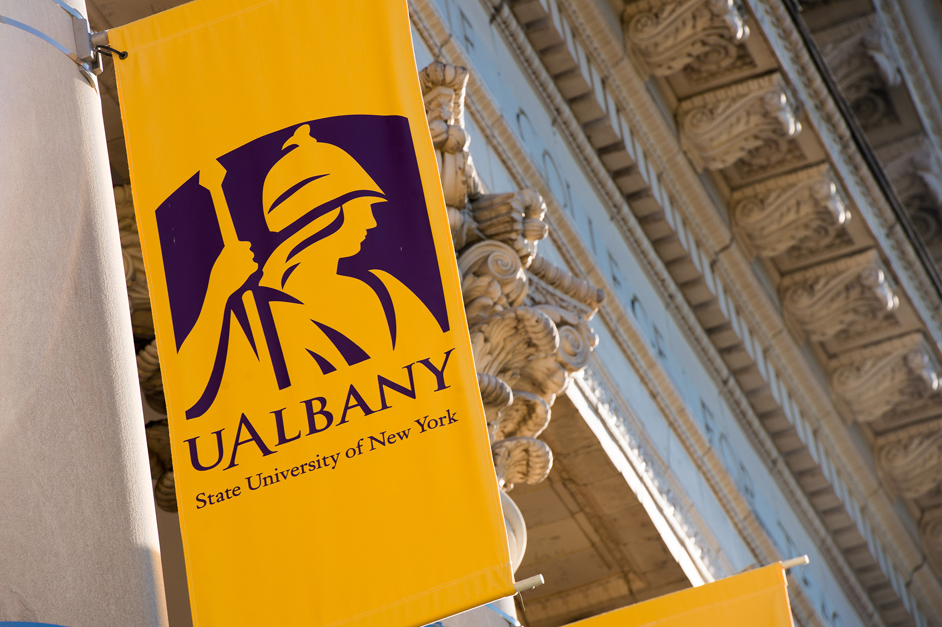 UAlbany banner 