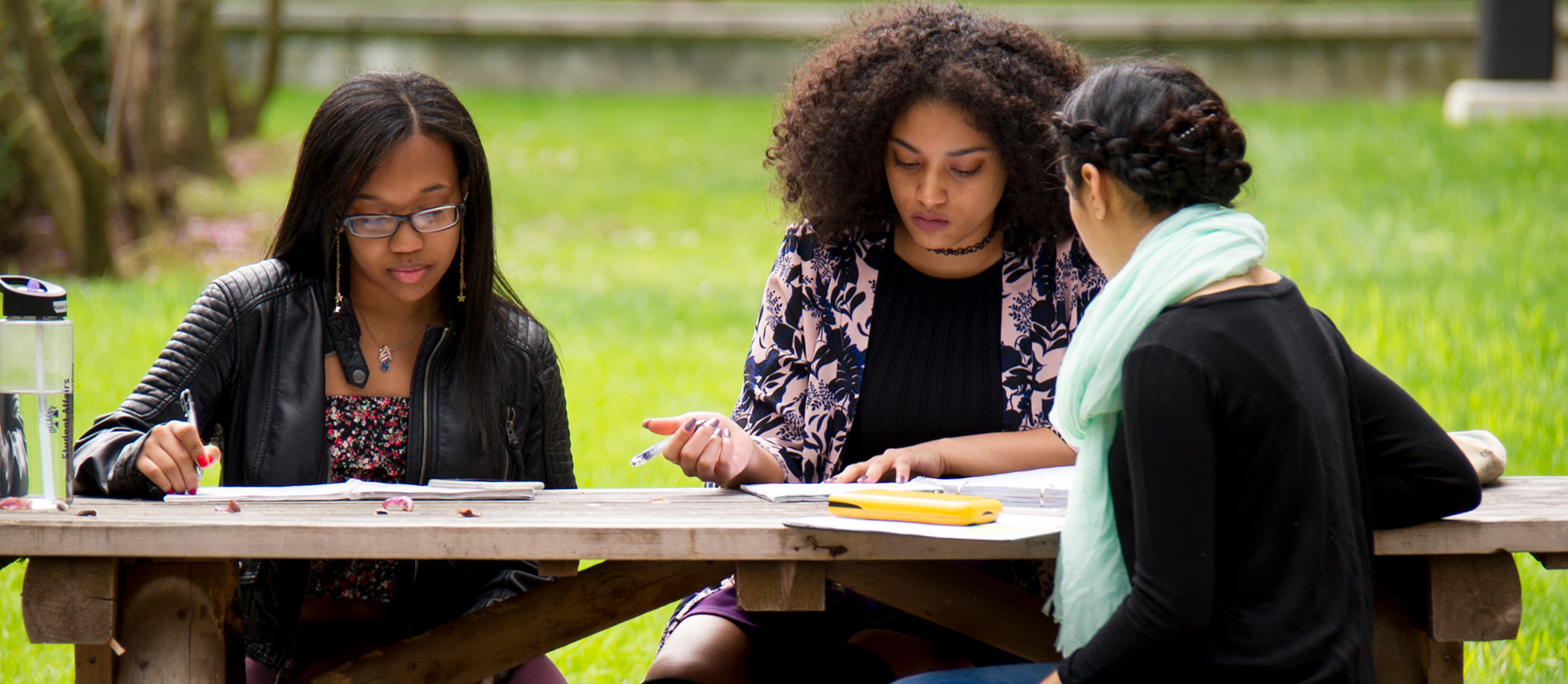 UAlbany students studying together at picnic table