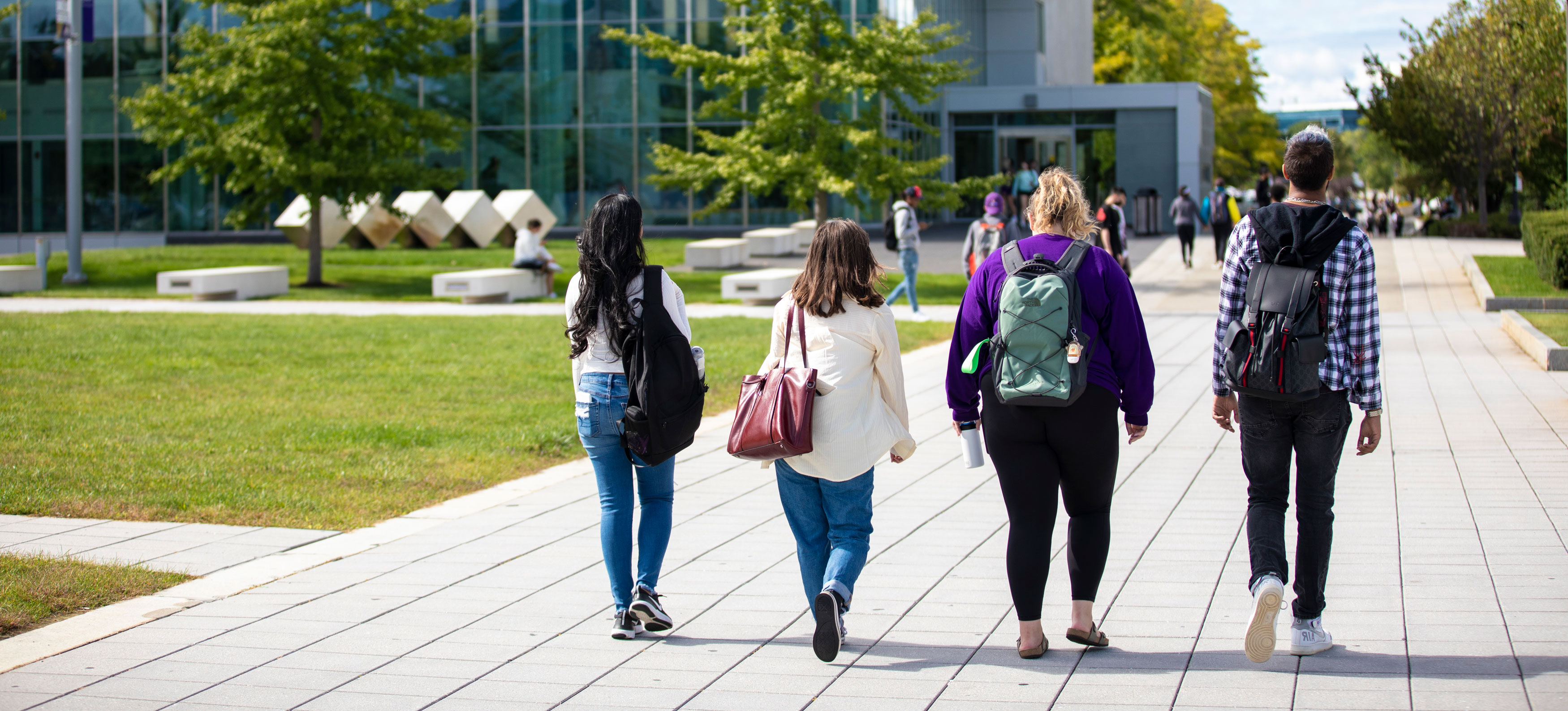 Four students with backpacks walk along a campus pathway on a sunny day. The path is built with pavers and the grass is vibrant green.