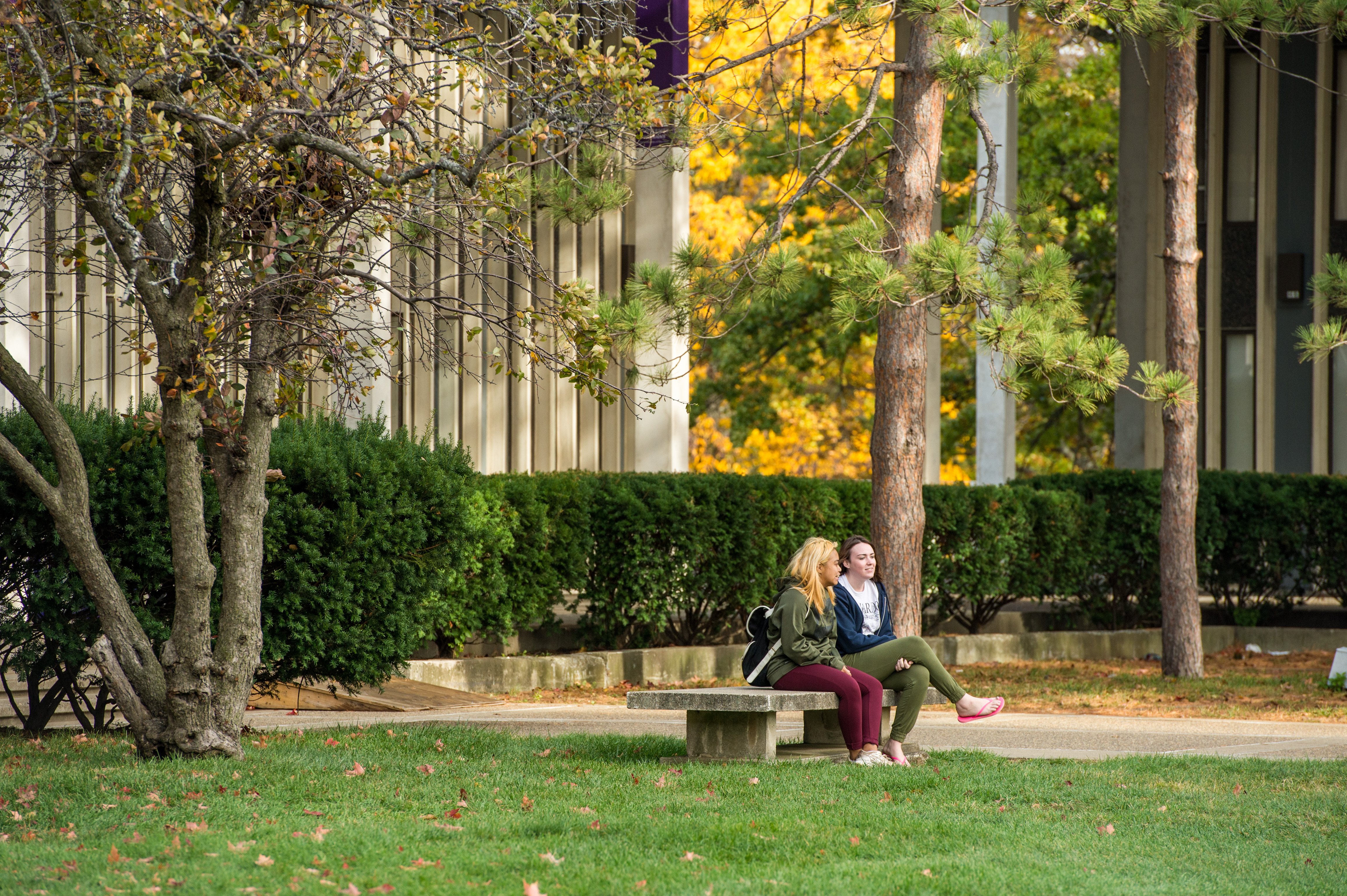 Two students sitting on a bench in the Colonial Quad courtyard