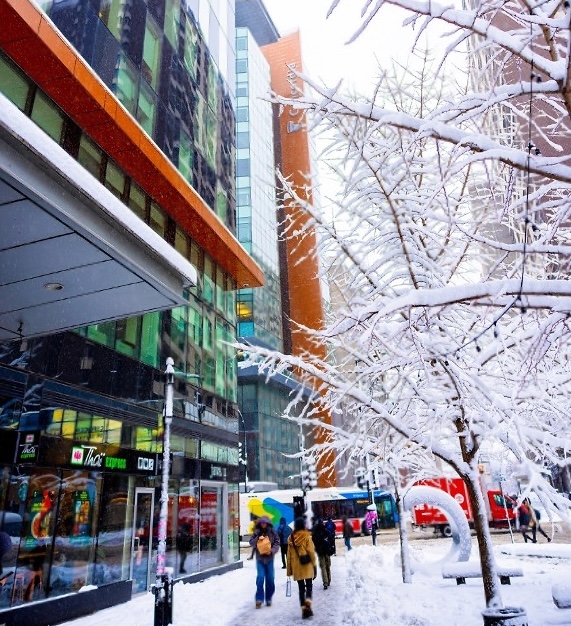 Concordia University