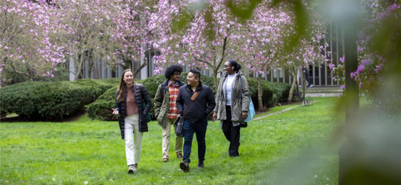 Four students walk through the grass on UAlbany's Academic Podium