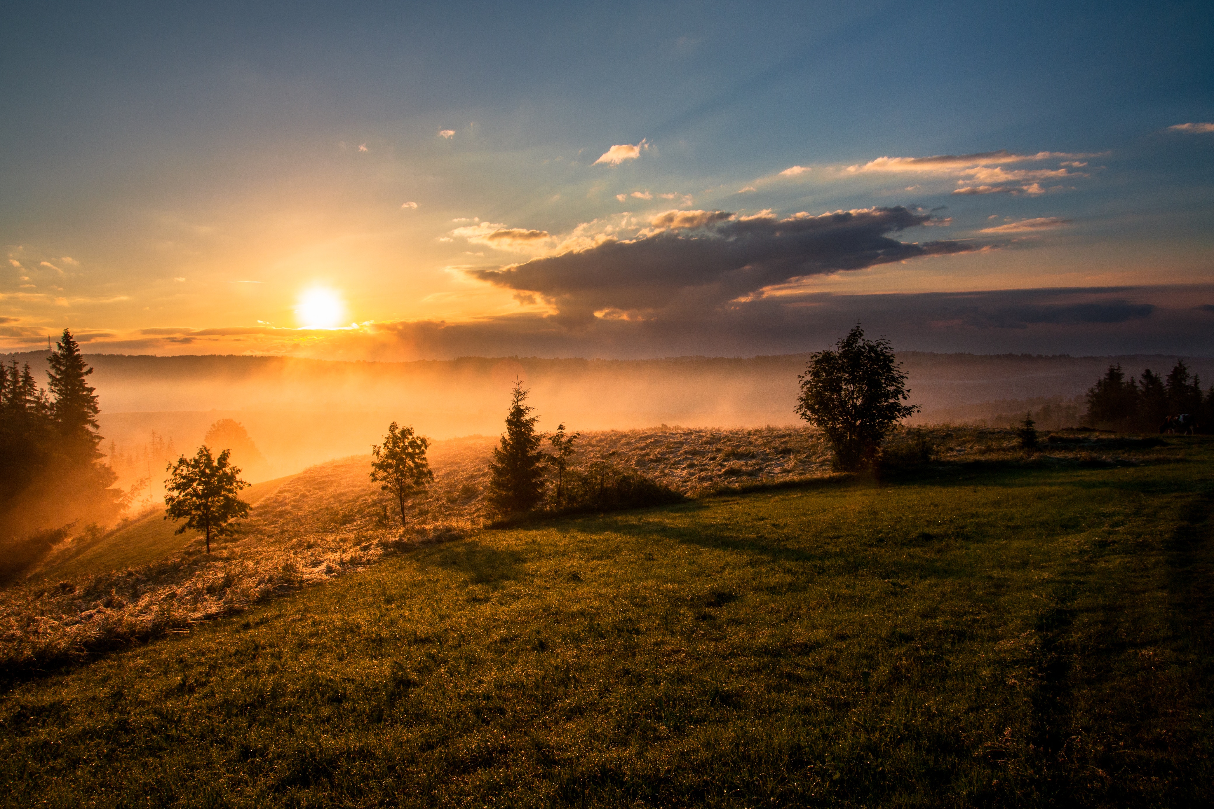 Sun setting over hill with scattered fir trees