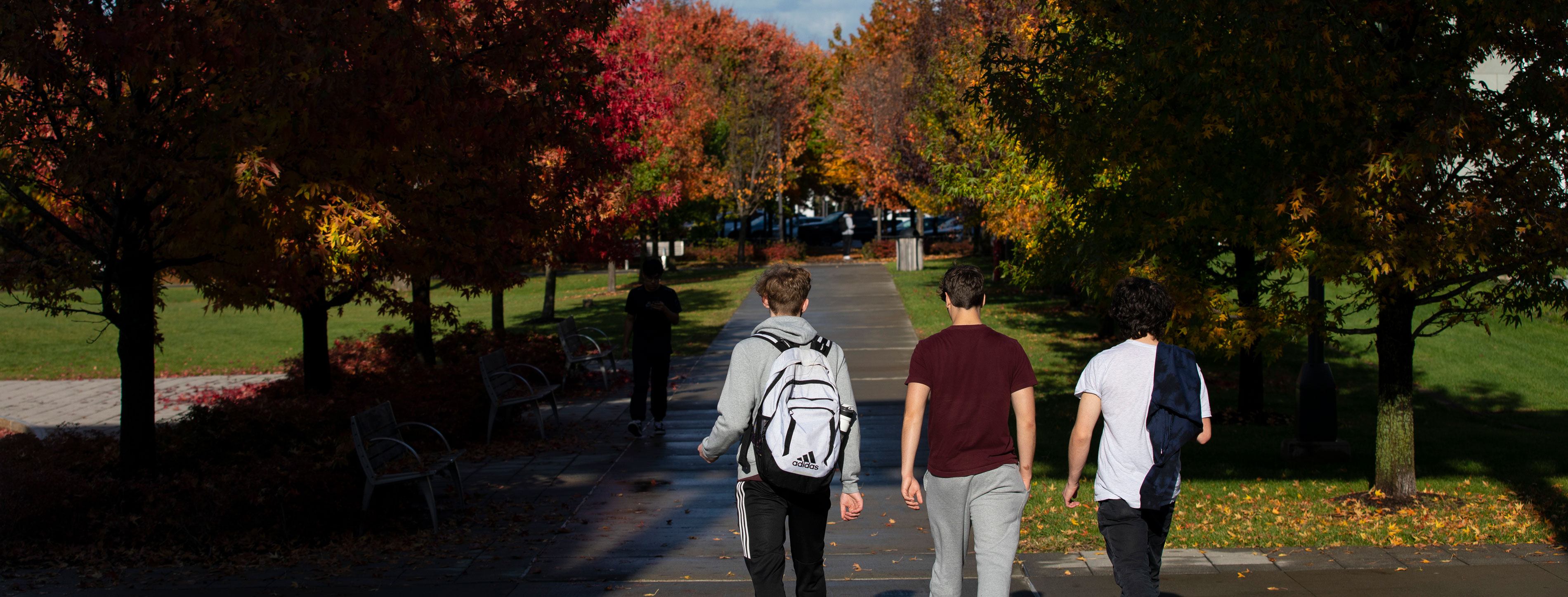 Three students walk along a paved campus path surrounded by trees with fall foliage.
